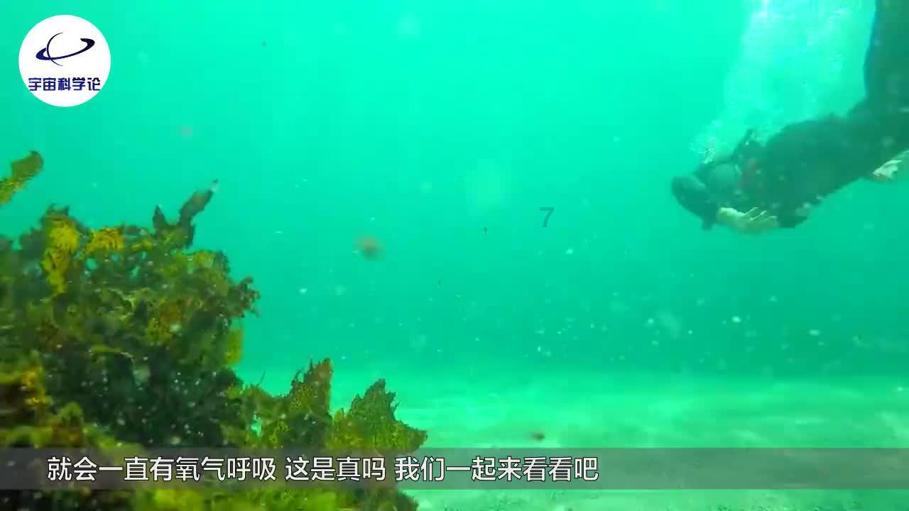 画线进球3